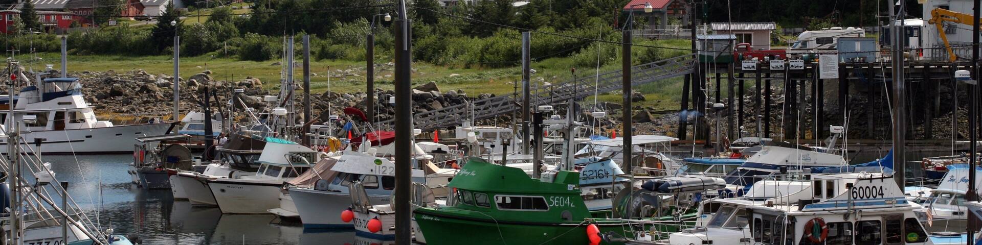 Haines ofreciendo una bahía o puerto, una ciudad costera y una marina