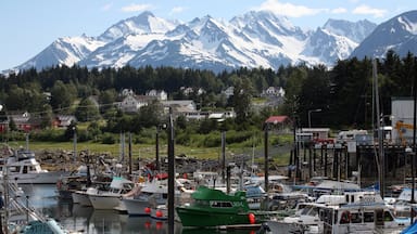Haines som viser fjell, marina og kystby