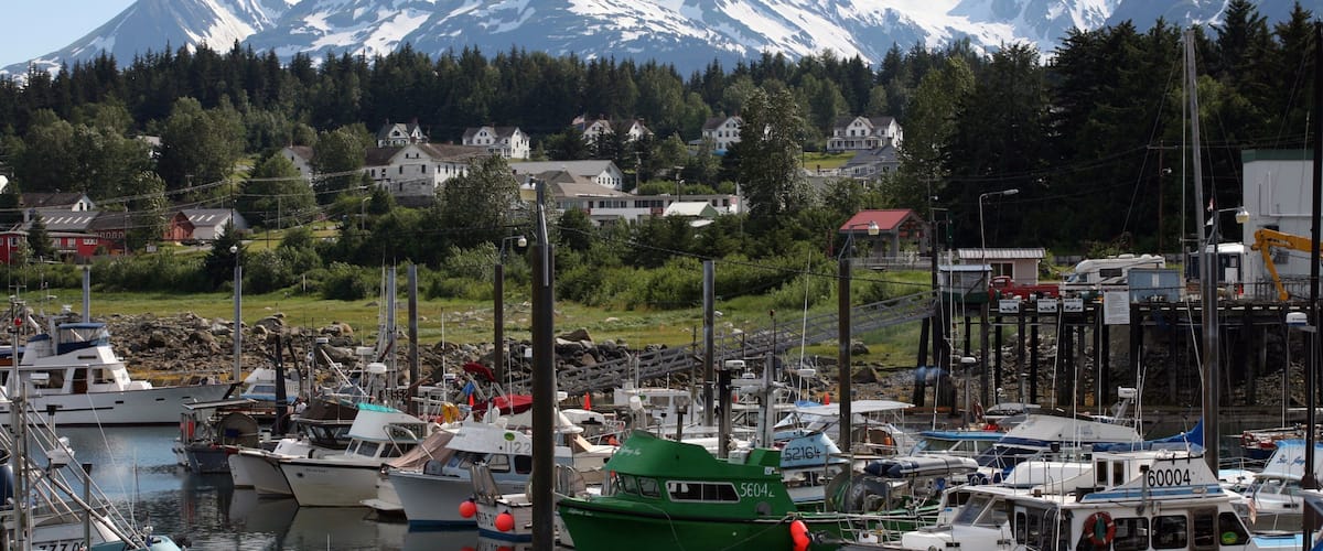 A marina with boats docked, surrounded by a forest and mountains in the background.