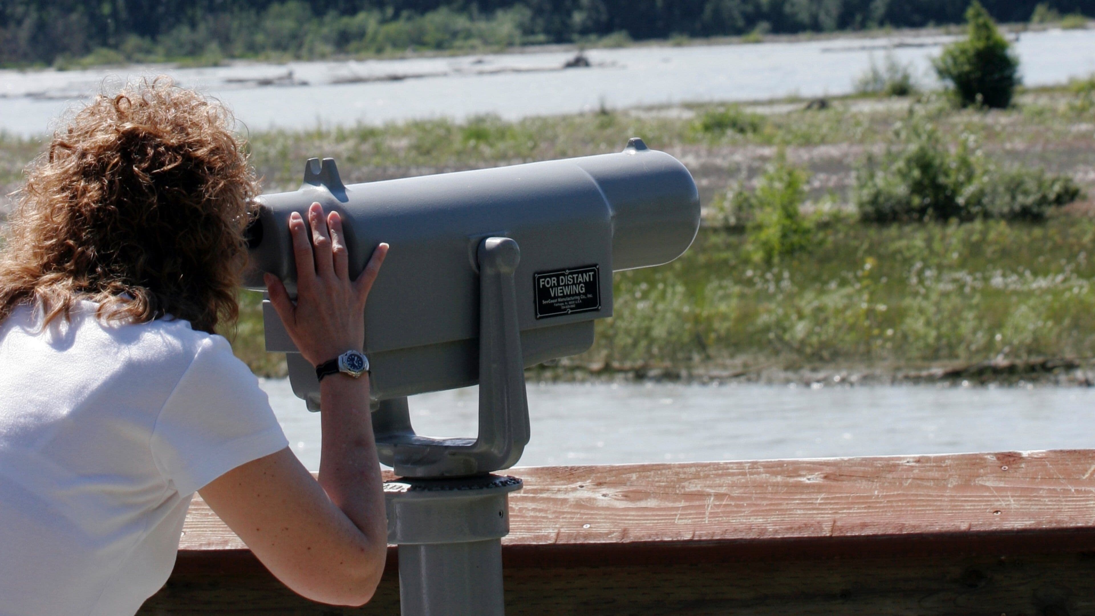 Haines showing a bay or harbor and views as well as an individual femail