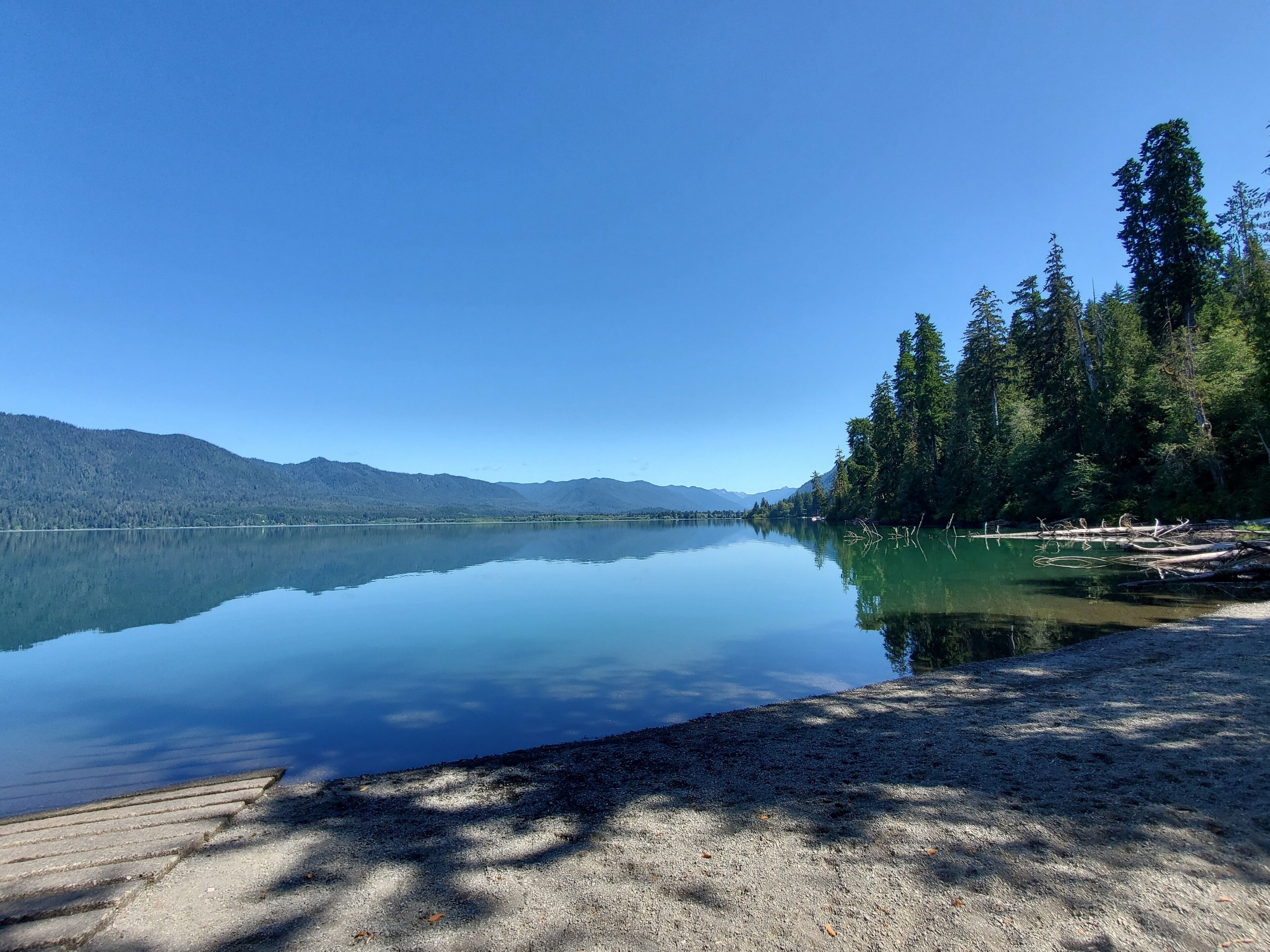 Quinault Rainforest Lake
