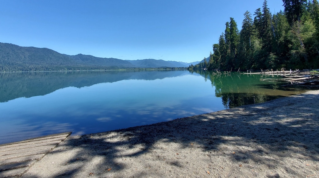 Quinault Rainforest Lake
