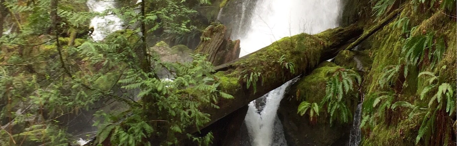 One of several beautiful falls in Olympic National Park, Merriman Falls is just another reason to make a visit to the Lake Quinault area. So pretty!