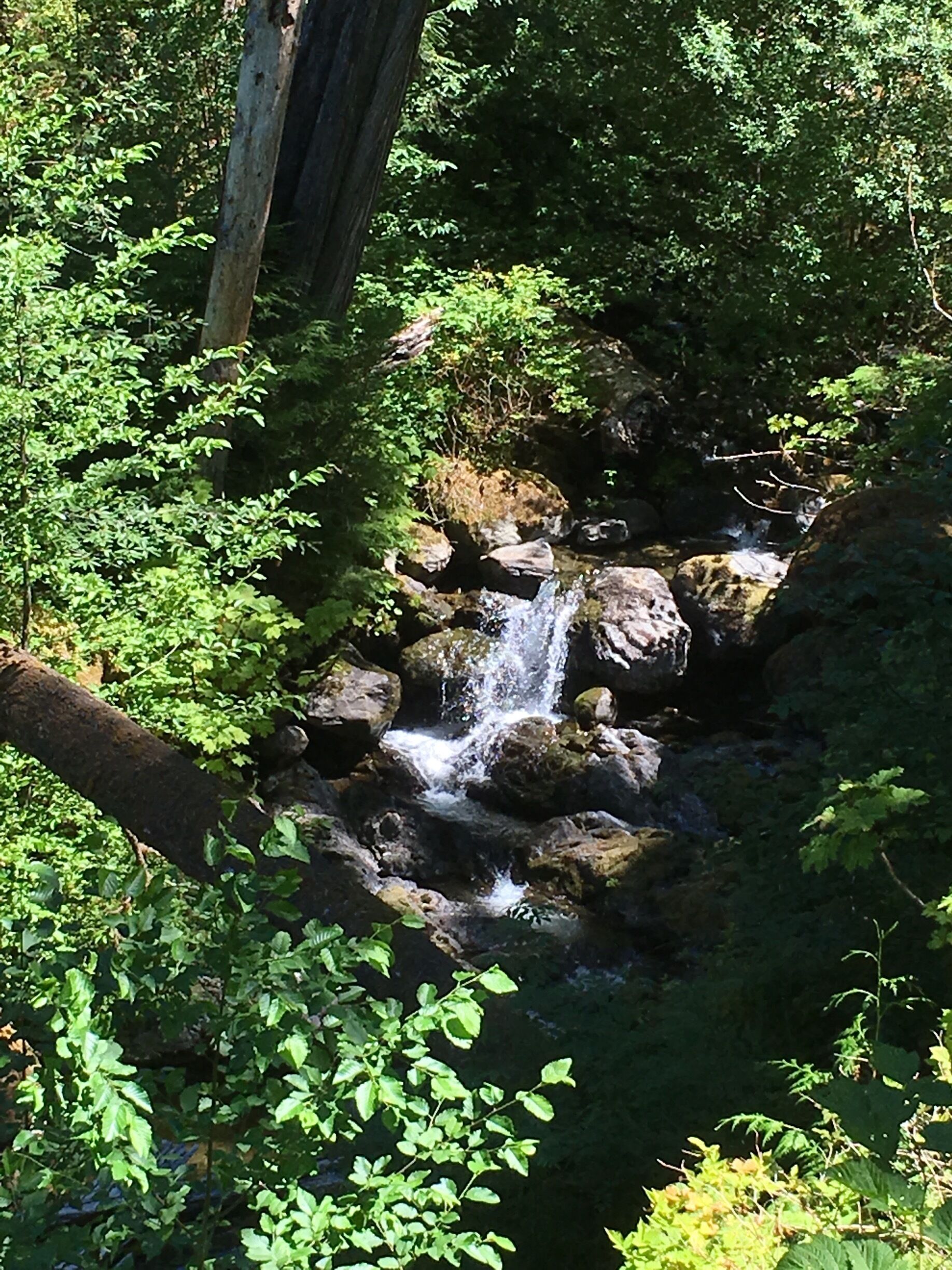 Gratton creek falls in Olympic national park, Washington, USA #TakeAHike