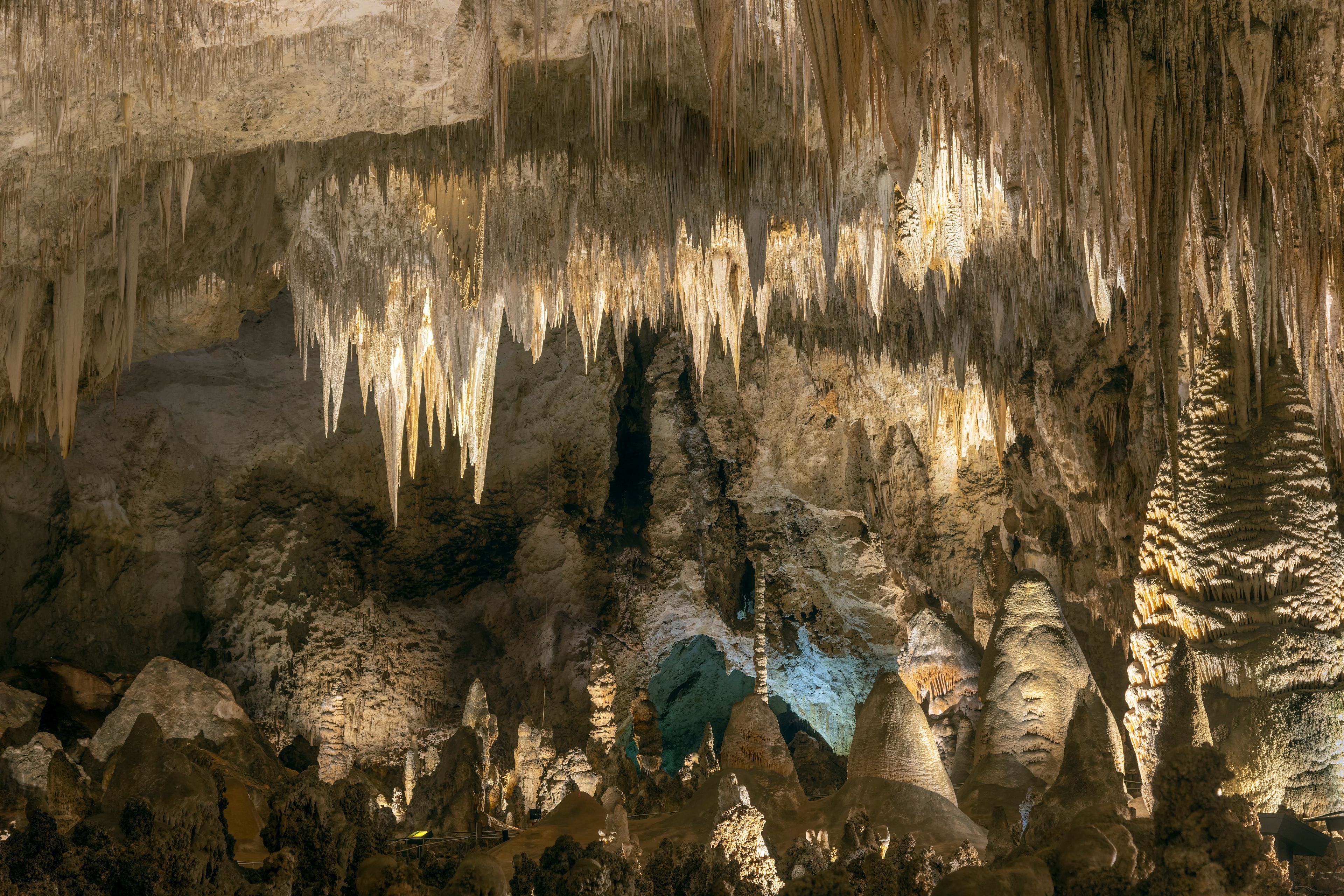 Teeth in Carlsbad Caverns