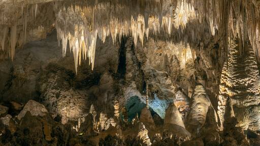 Teeth in Carlsbad Caverns