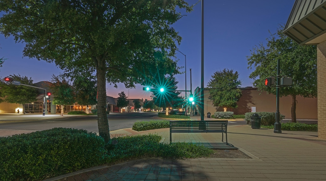 A pedestrian walkway with a bench, trees, and street lights.