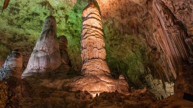 Big Room, Carlsbad Caverns National Park, New Mexico, United States