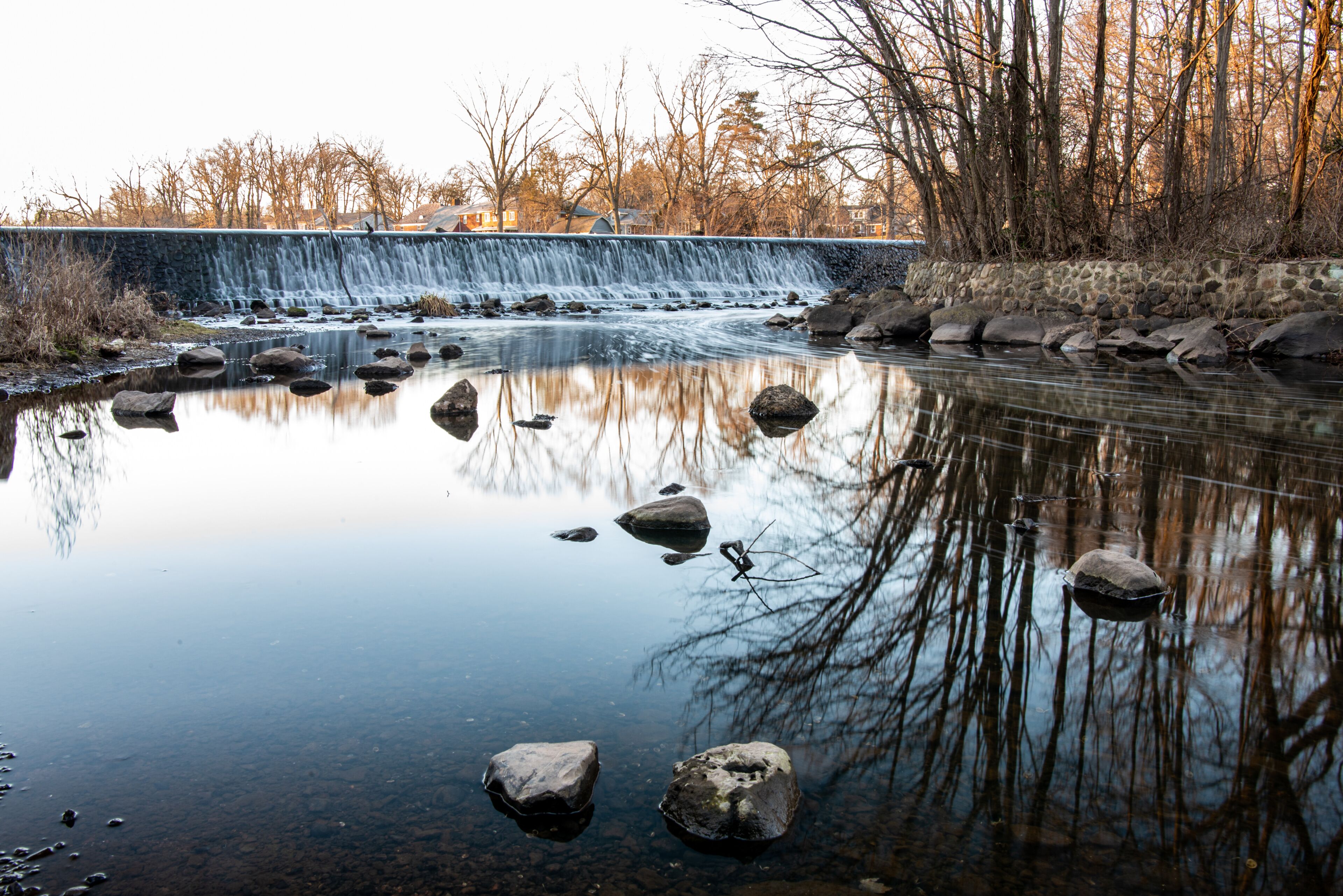 reflection of trees in the water