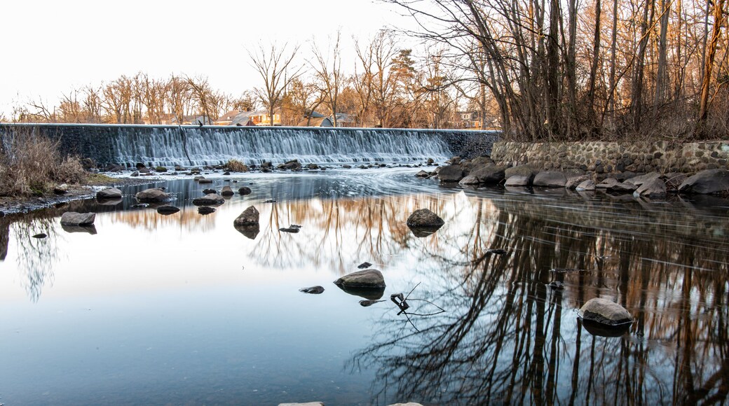 reflection of trees in the water