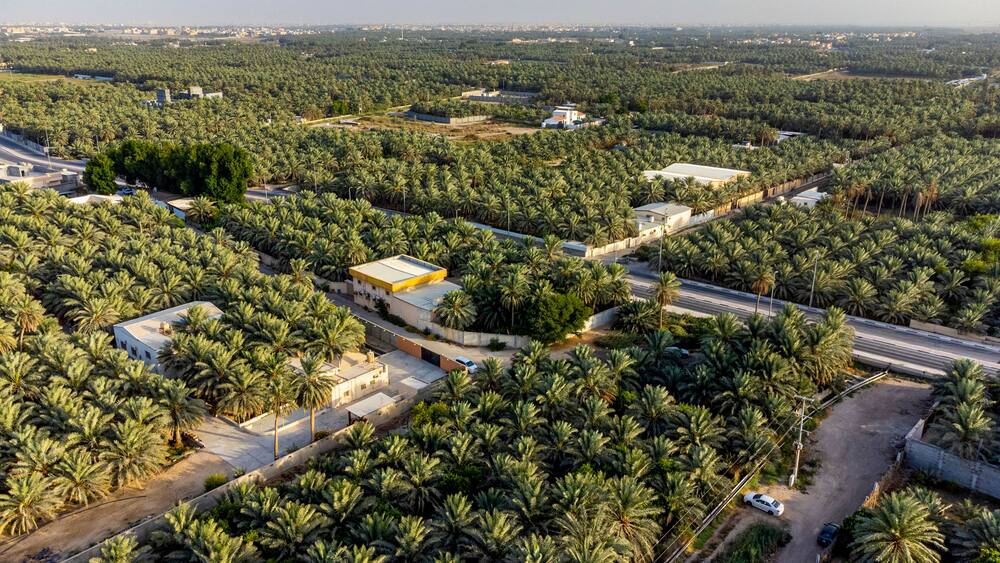 Saudi Arabia, Eastern Province, Al-Hofuf, Aerial view of Al-Ahsa Oasis
