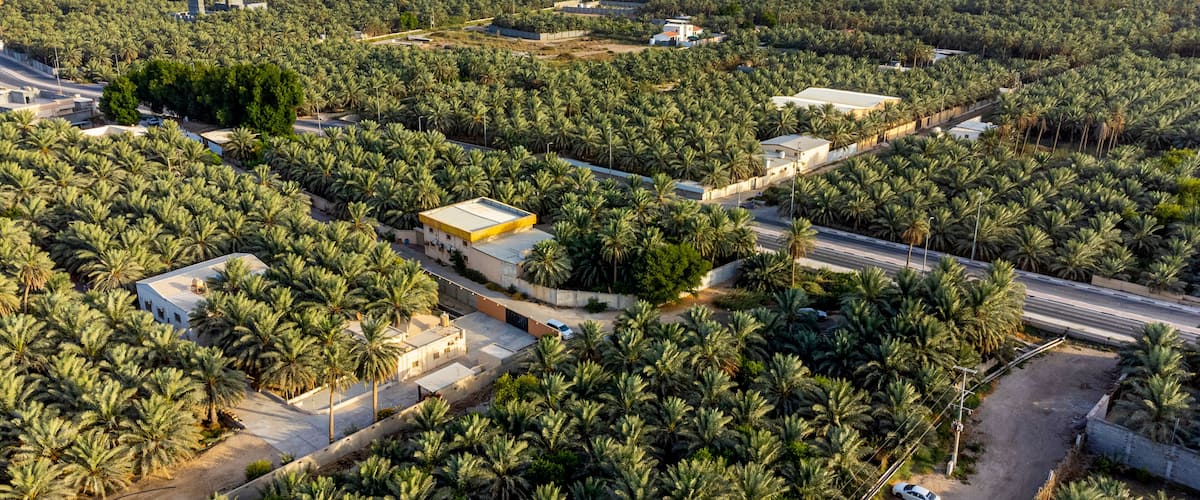 Saudi Arabia, Eastern Province, Al-Hofuf, Aerial view of Al-Ahsa Oasis