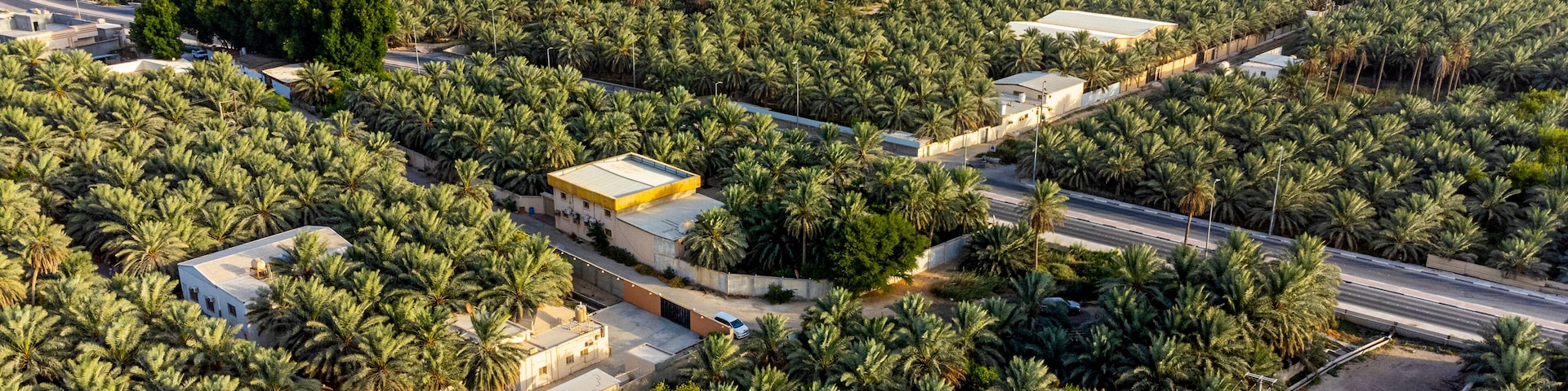 Saudi Arabia, Eastern Province, Al-Hofuf, Aerial view of Al-Ahsa Oasis