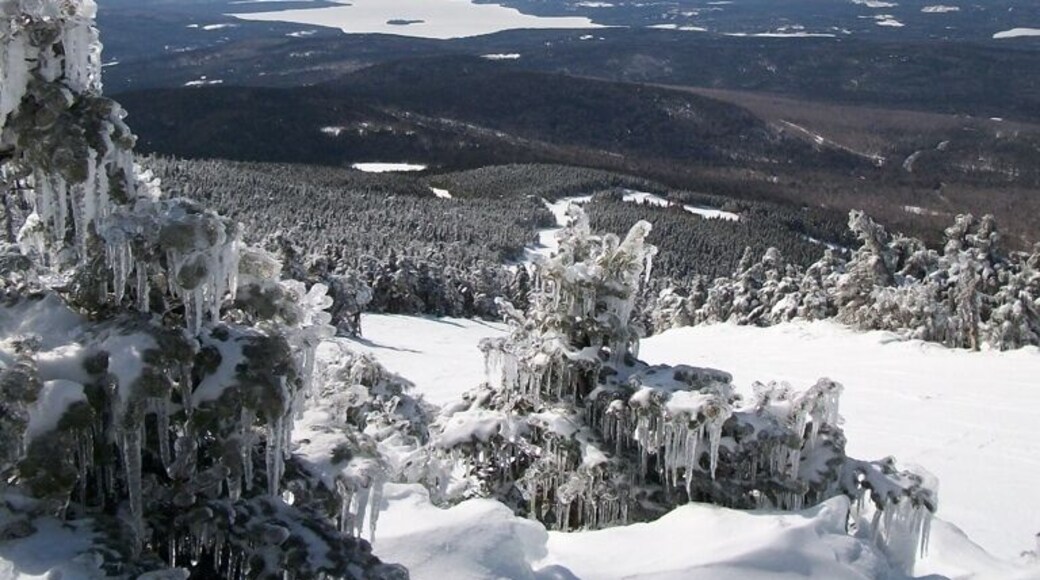 Saddleback, Mt. Rangeley Maine