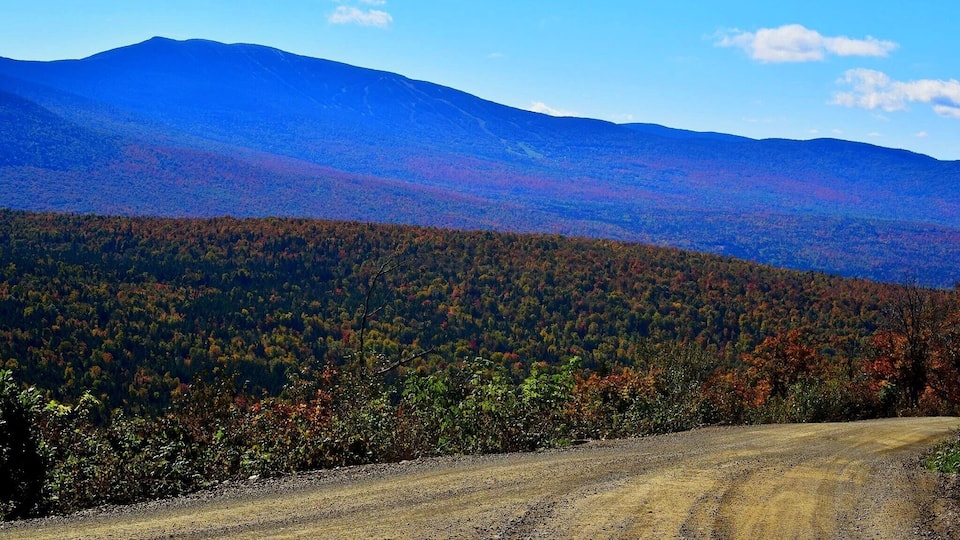 A dirt road leading through a forested mountain range with autumn foliage.