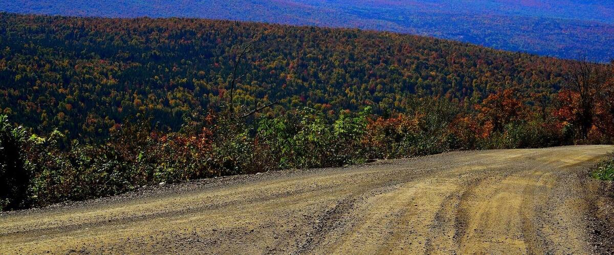 A dirt road leading through a forested mountain range with autumn foliage.