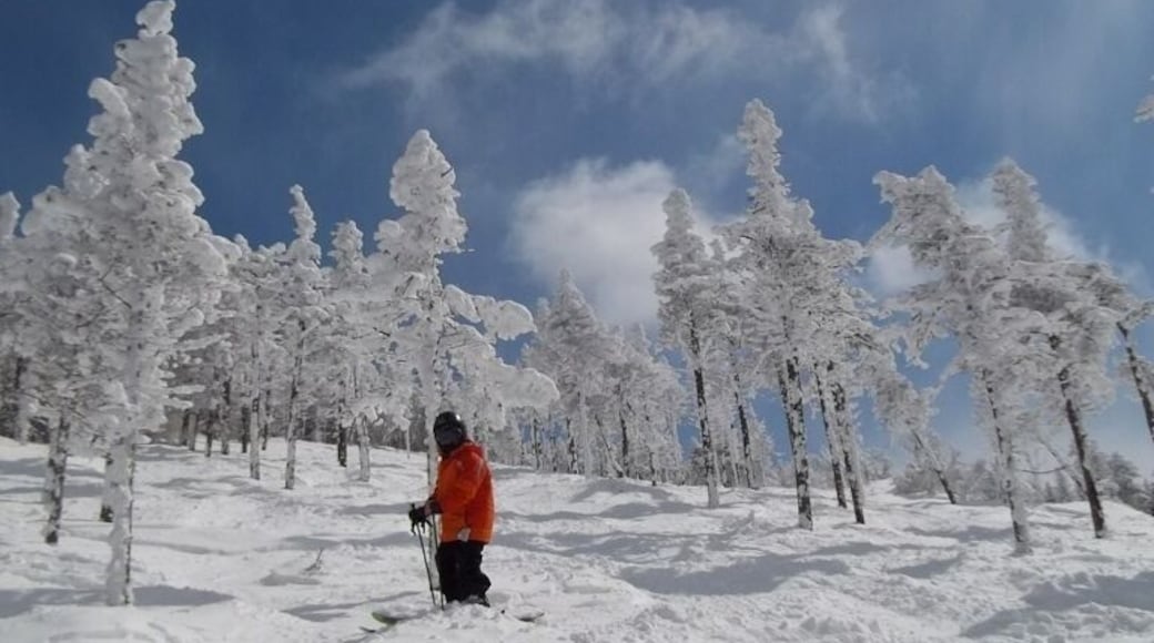 #snow Saddleback Mountain