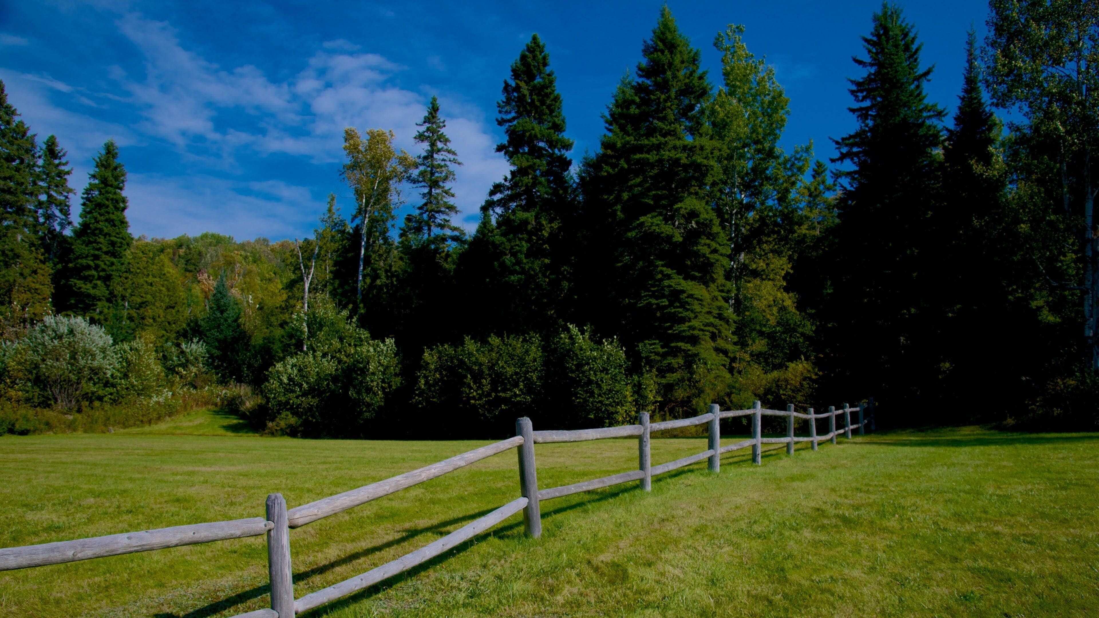 Rangeley featuring a park