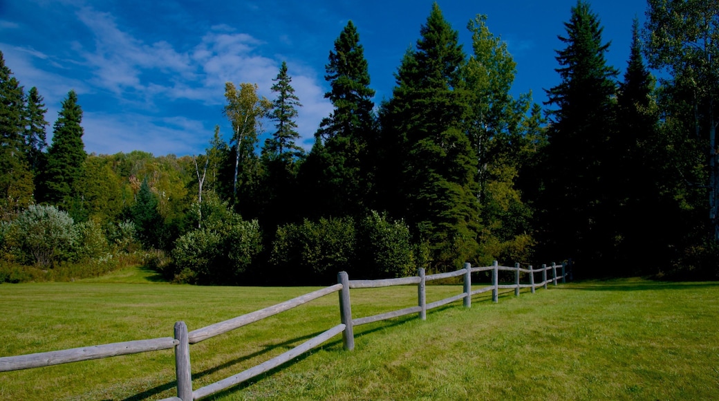 Rangeley featuring a park