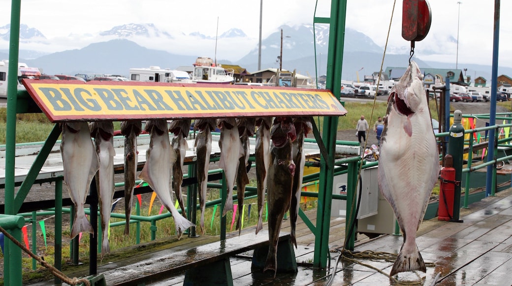 Homer showing signage and fishing
