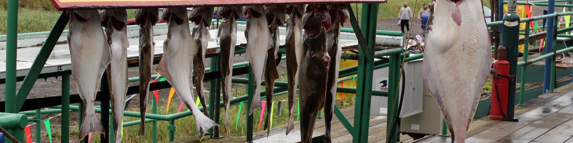 Homer showing signage and fishing