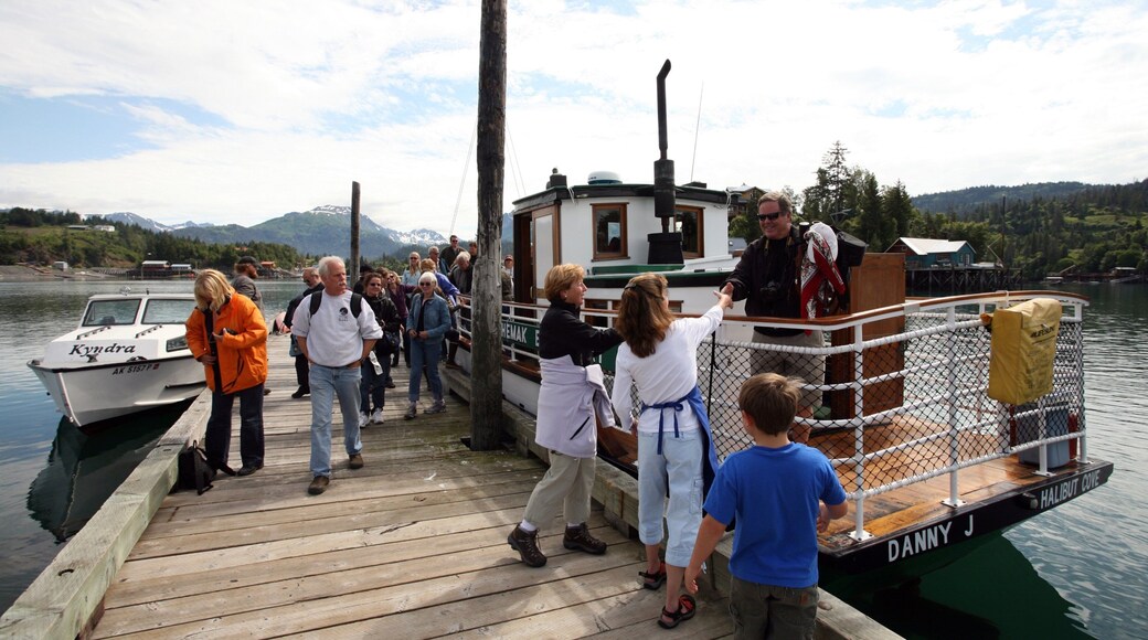 Homer featuring boating as well as a small group of people