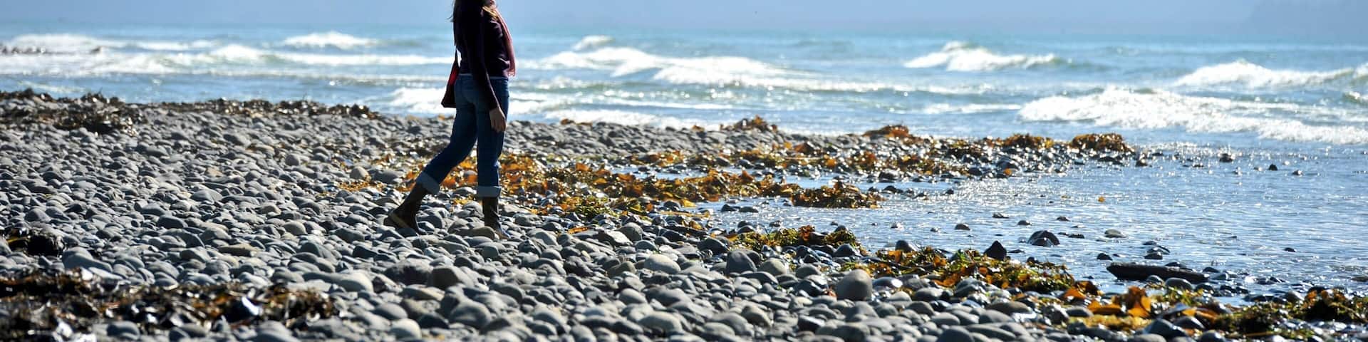 ホーマー どの含み 湾岸あるいはハーバー, 小石のビーチ と 山々