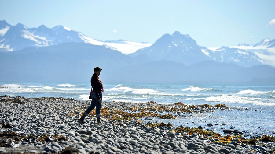 Homer which includes a bay or harbour, a pebble beach and mountains