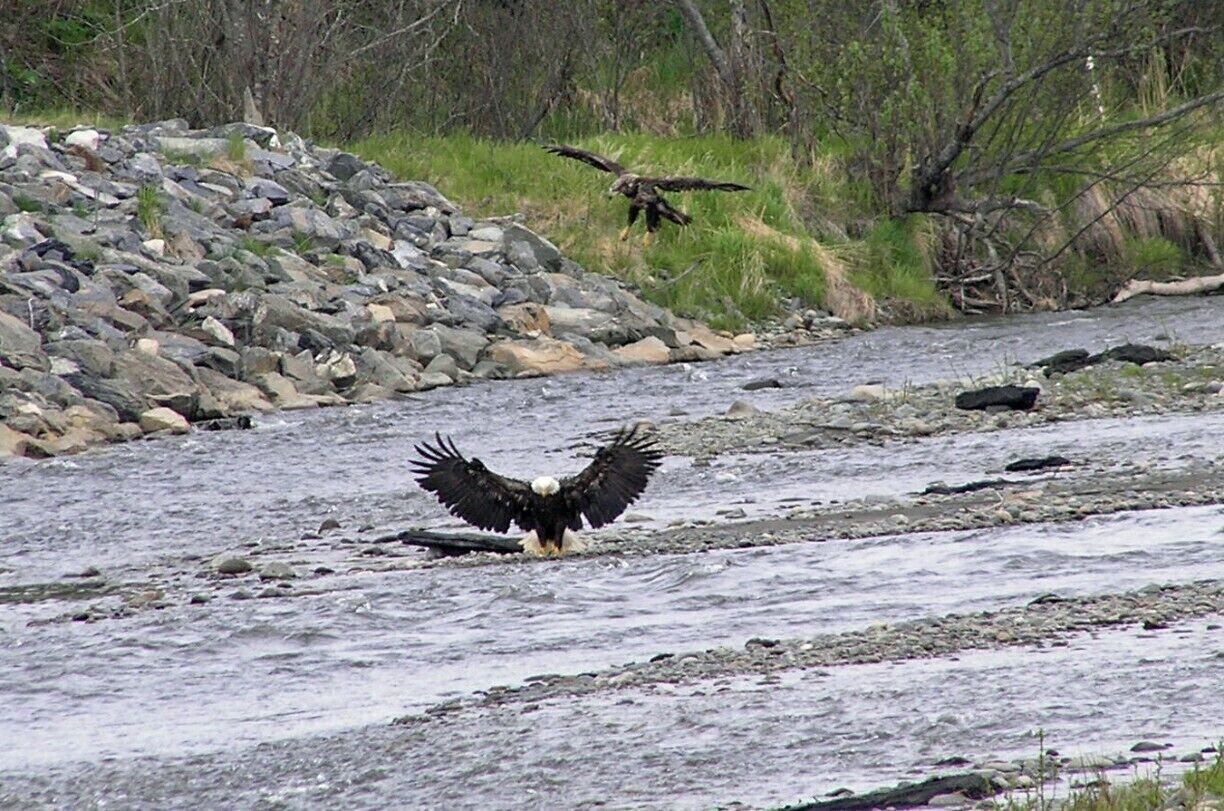 A river with rocks and a pile of stones in the background.