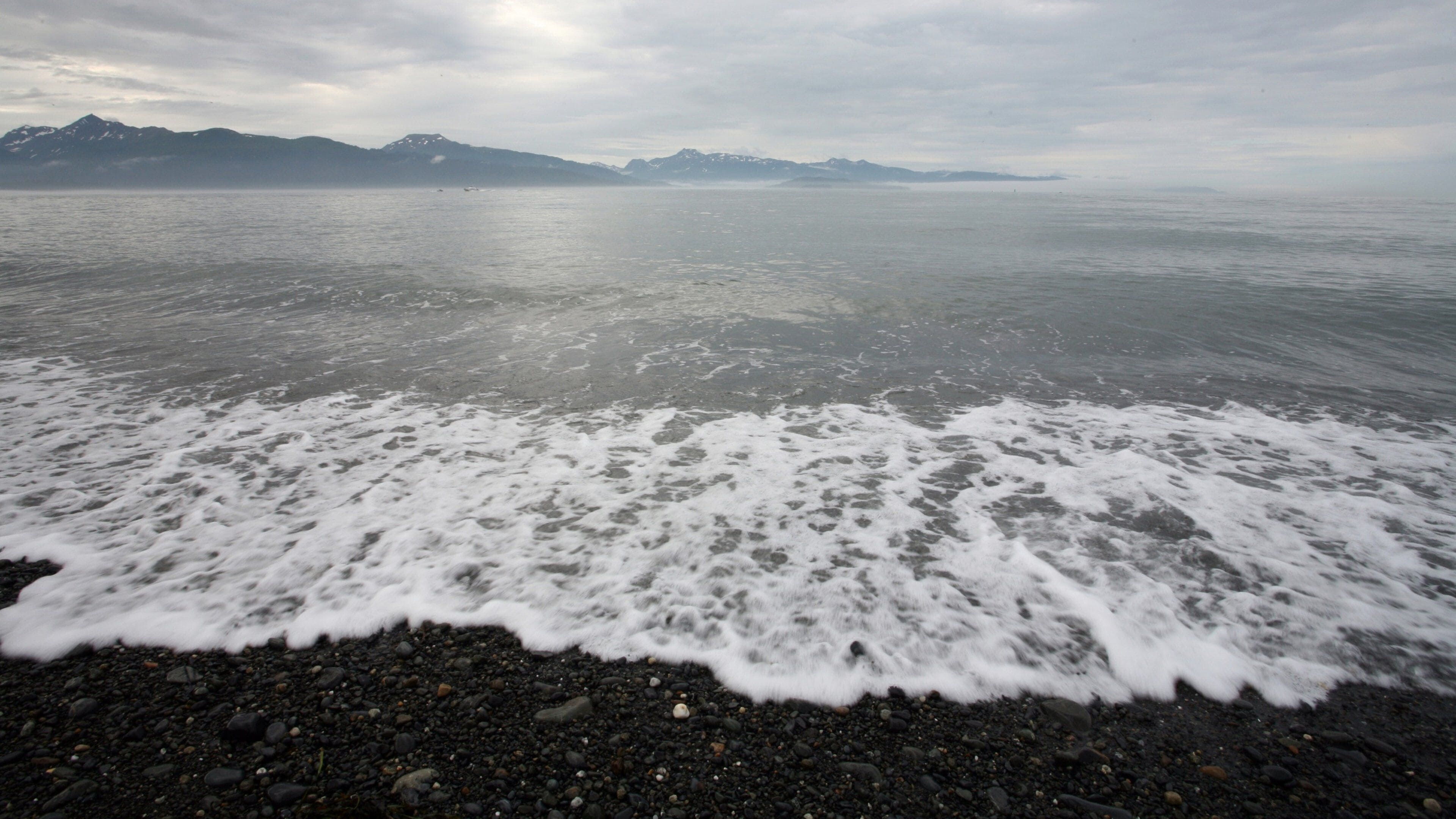 Homer fasiliteter samt fjell, bukt eller havn og strand med småstein