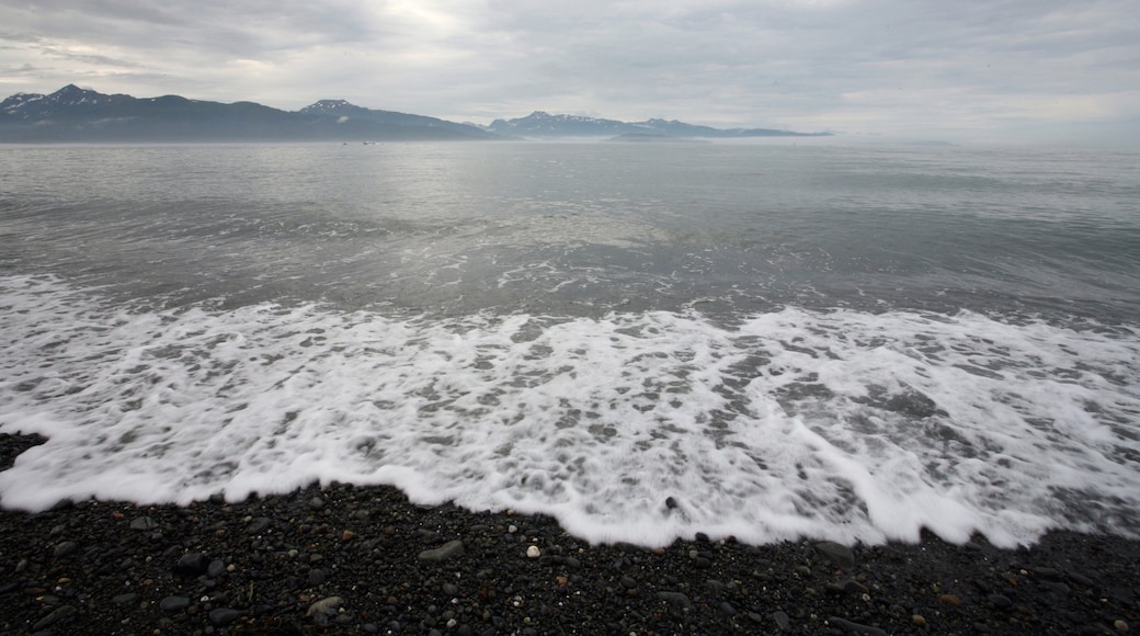 Homer featuring a bay or harbor, mountains and a pebble beach