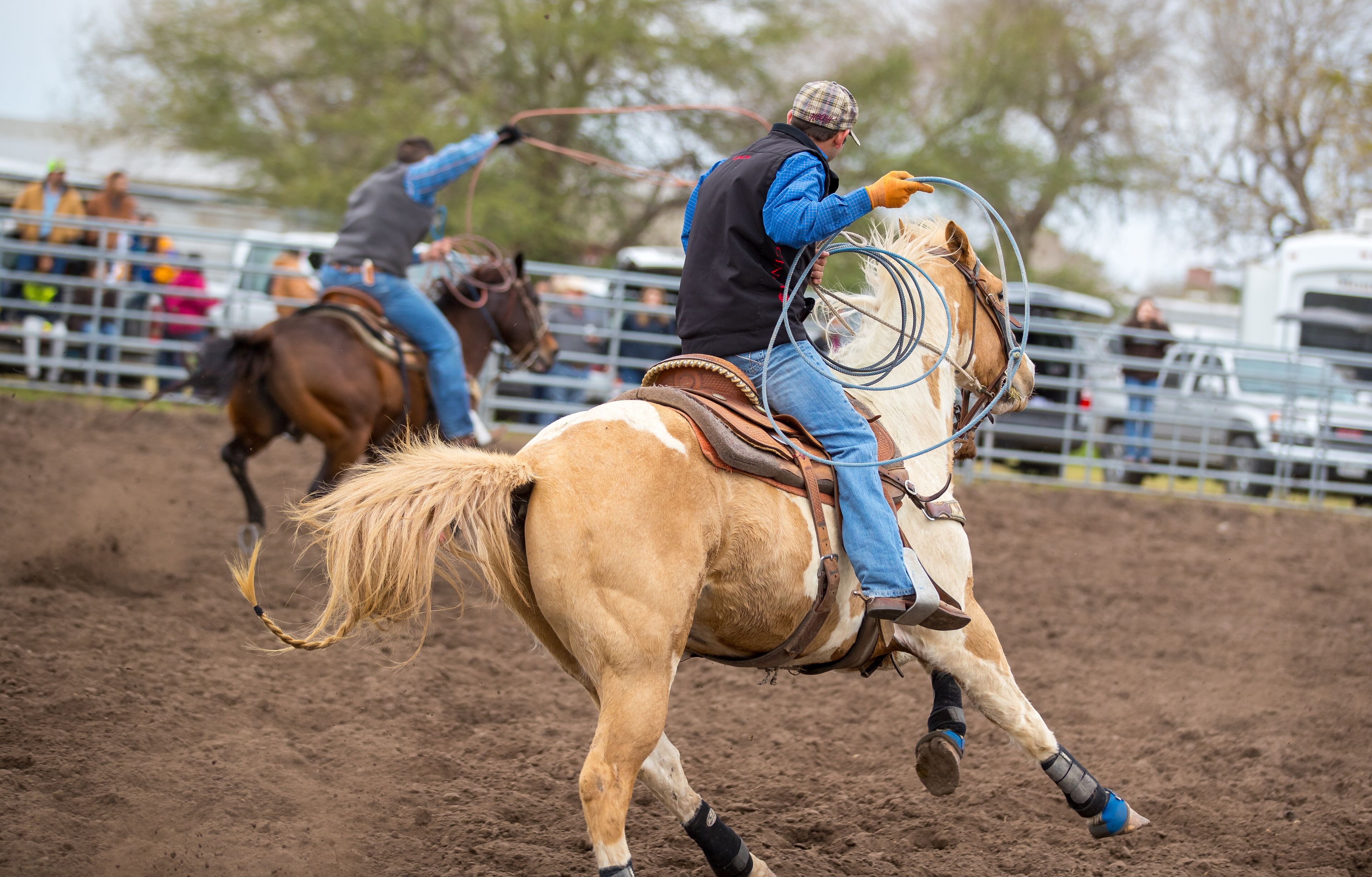 Cowboys roping at the Ranch Rodeo in Willacy County TX