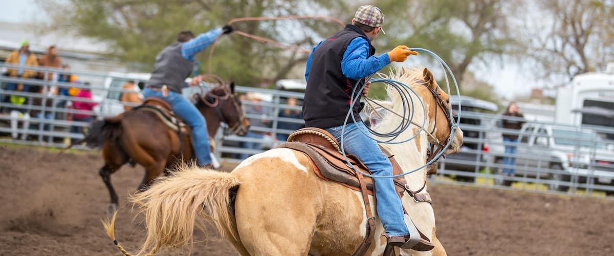 A cowboy on a horse in a rodeo arena.