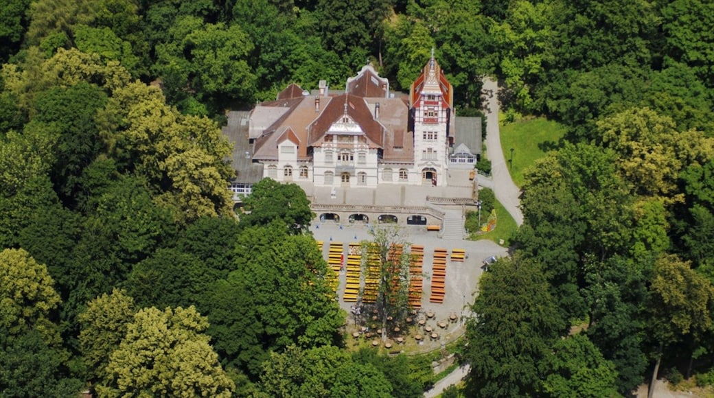 Hof mostrando cenas de floresta, um pequeno castelo ou palácio e arquitetura de patrimônio