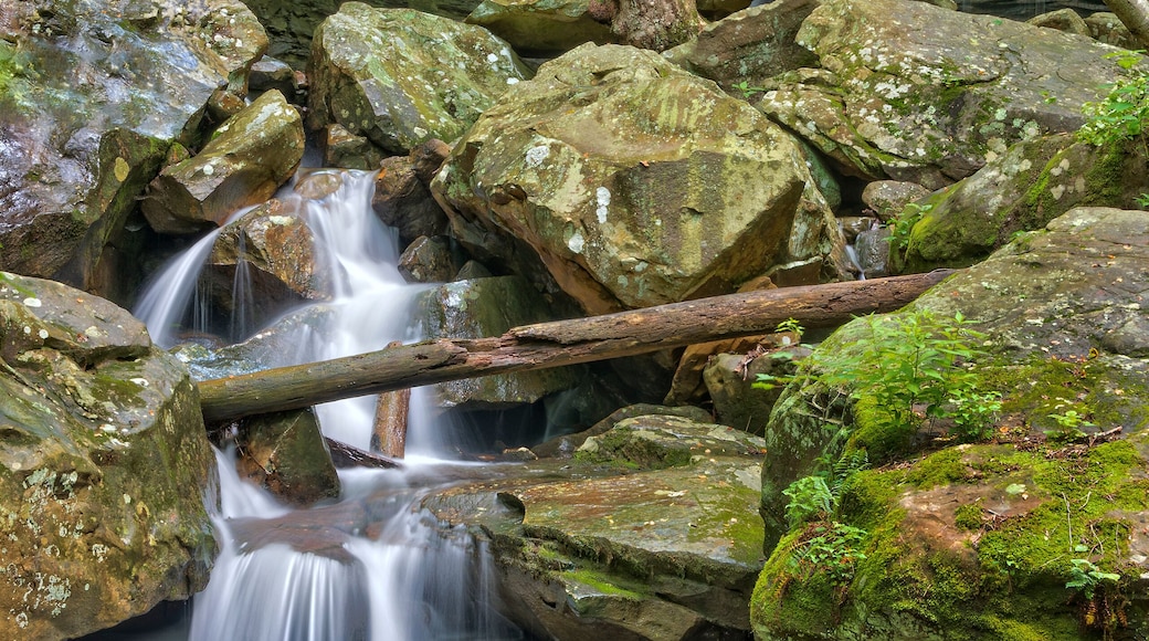 Emory Gap Falls In Frozen Head State Park