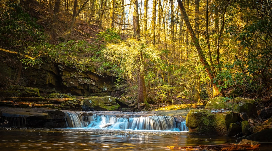 A small quaint waterall on the creek gurgles along the Fiery Gizzard Trail on the South Cumberland Plateau in Tennessee.