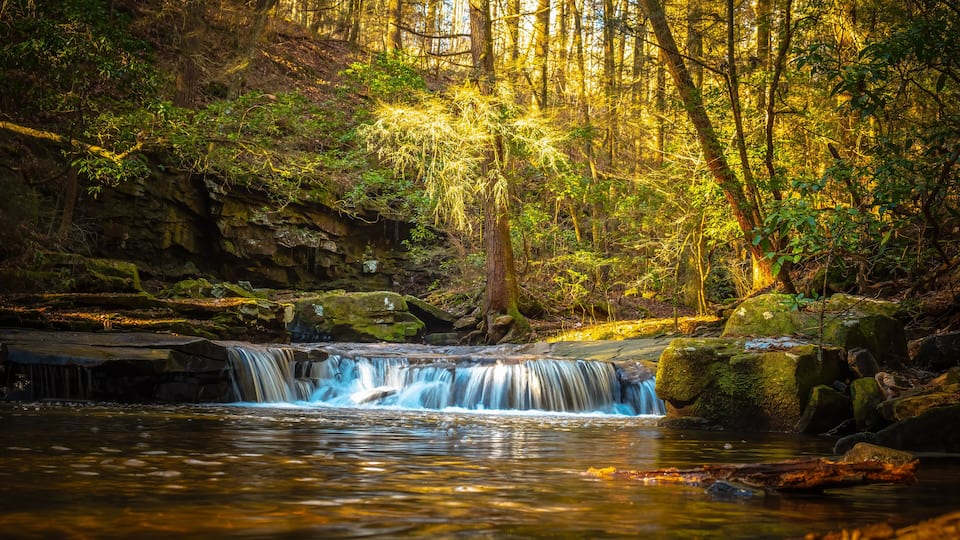 A waterfall in a forest with sunlight filtering through the trees.