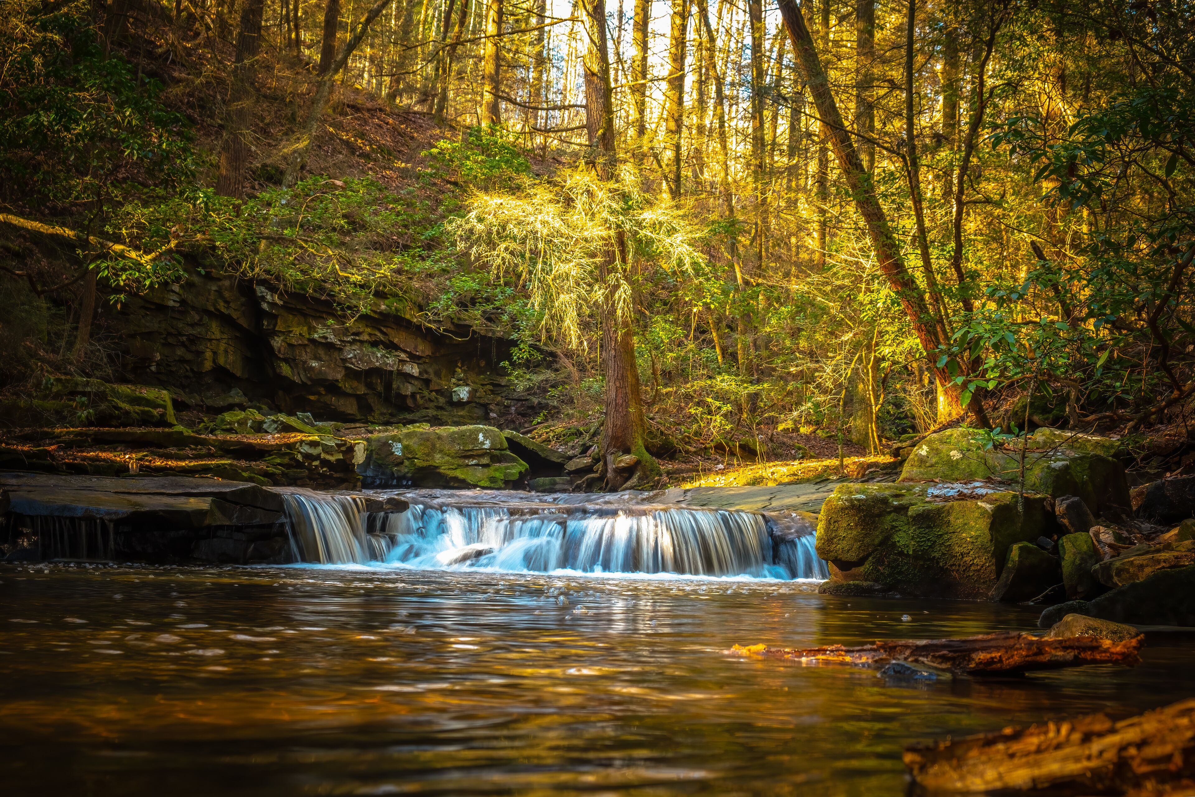 A waterfall in a forest with sunlight filtering through the trees.