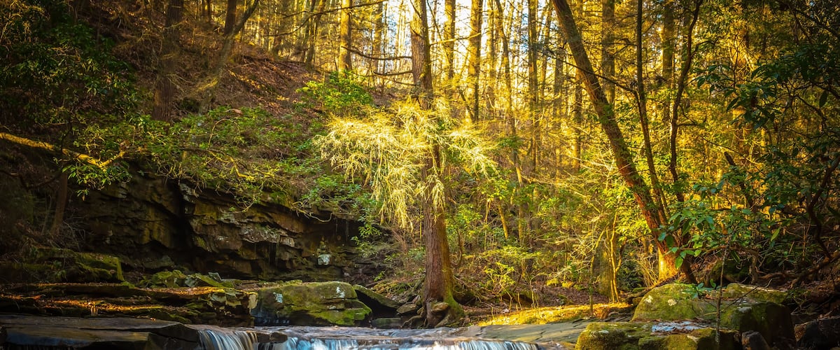 A waterfall in a forest with sunlight filtering through the trees.