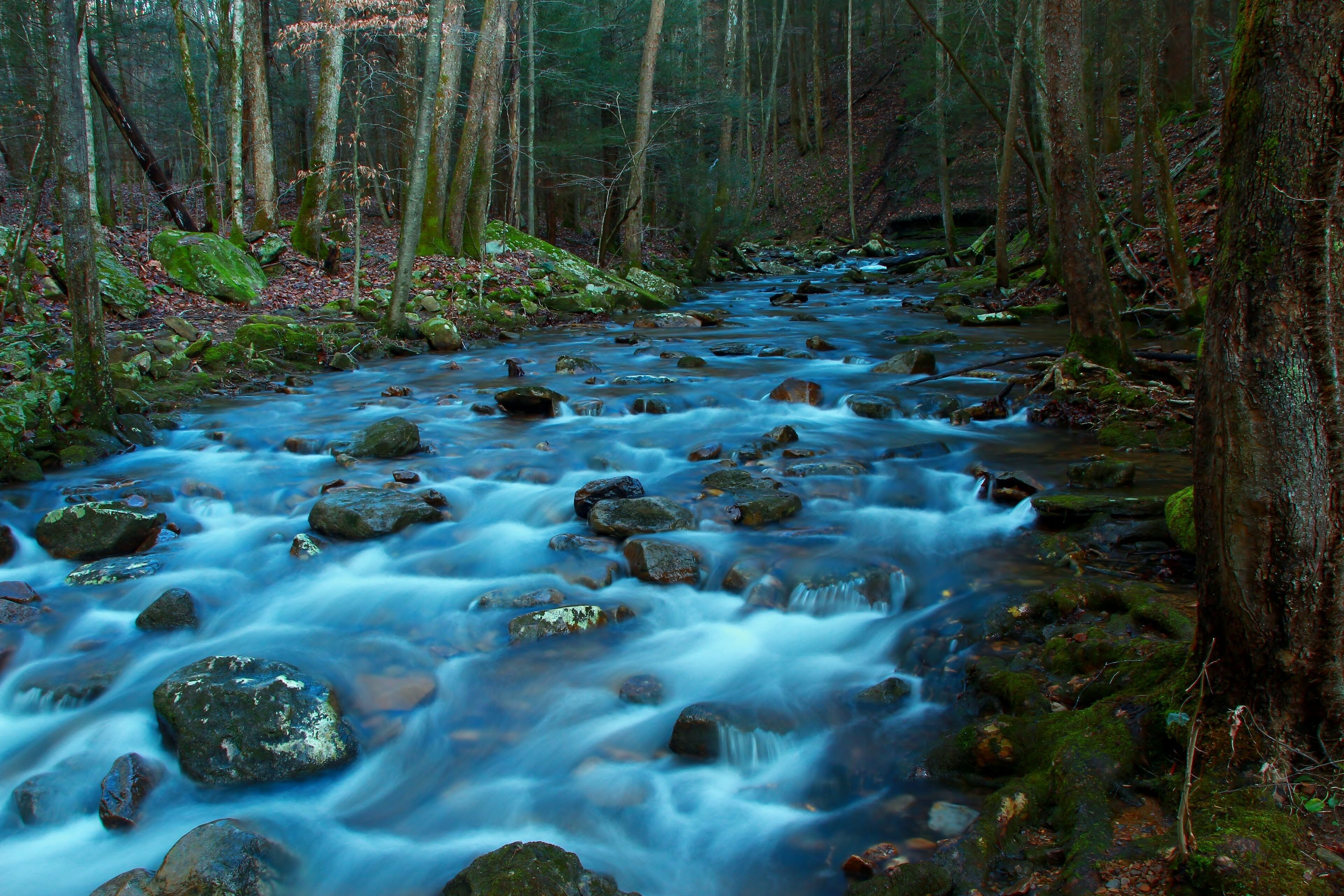 River at Frozen head state park in Tennessee