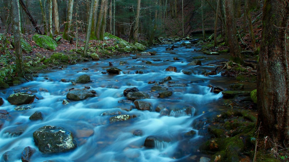 Une rivière sinueuse, bordée de rochers et d’arbres, au cœur d’une forêt.