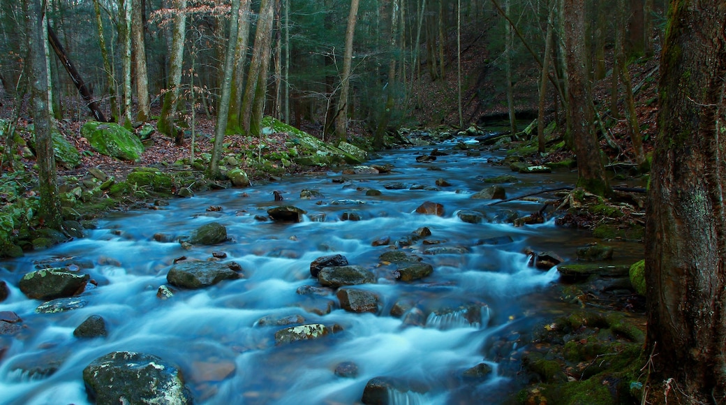 River at Frozen head state park in Tennessee