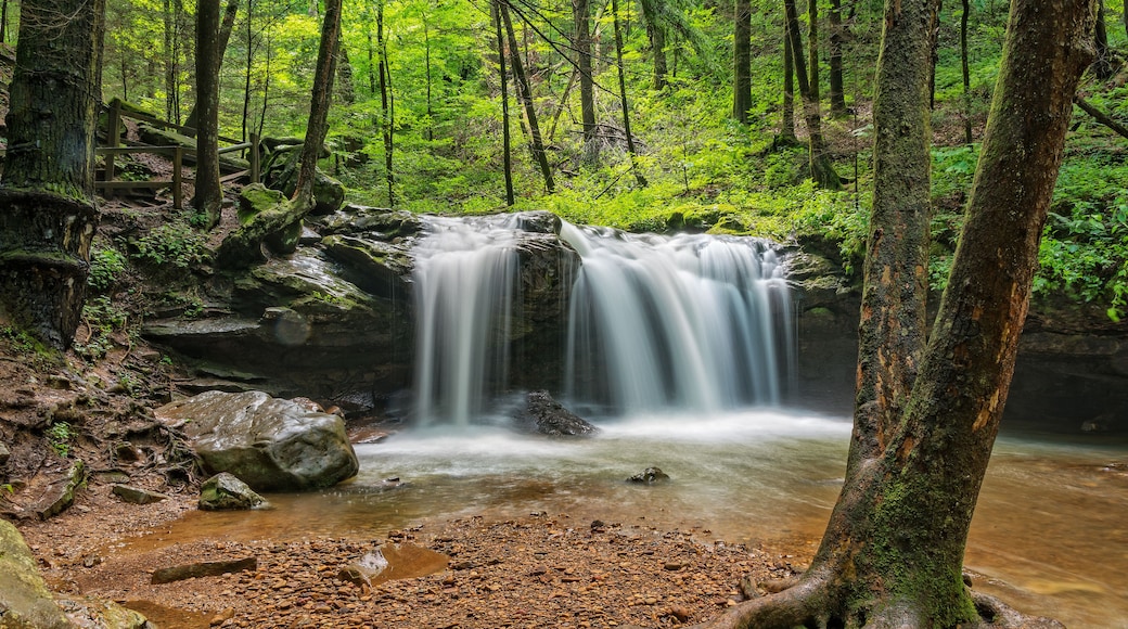 Debord Falls At Frozen Head State Park