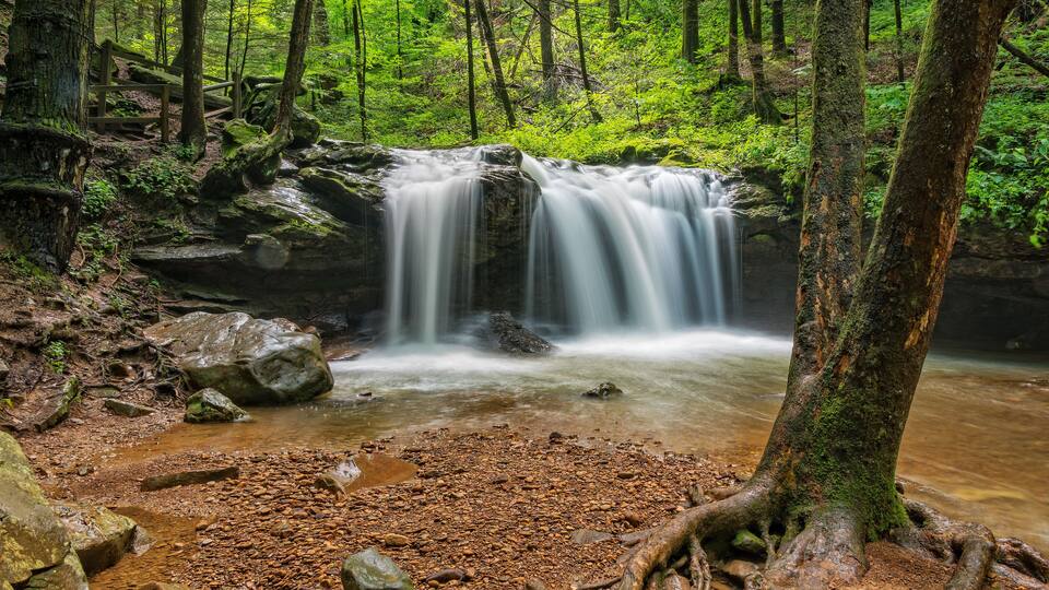 A forested area with a waterfall, rocks, and a muddy stream.