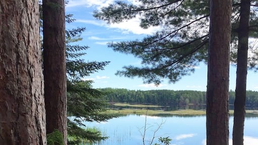 Near Eustis and Rangeley, Maine. Very very nice campground!