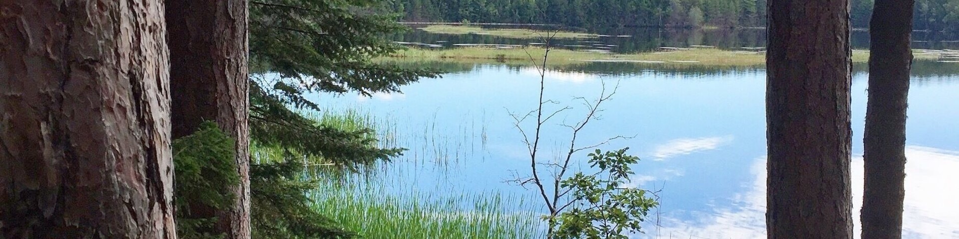 Near Eustis and Rangeley, Maine. Very very nice campground!