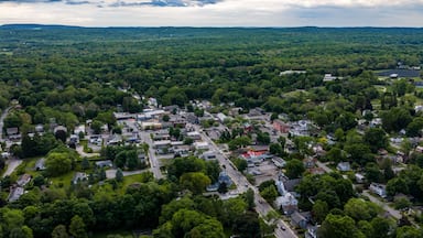 Red Hook, NY, USA - 05-20-2026 Aerial view of a small town nestled within a vast expanse of lush green forest under a partly cloudy sky.