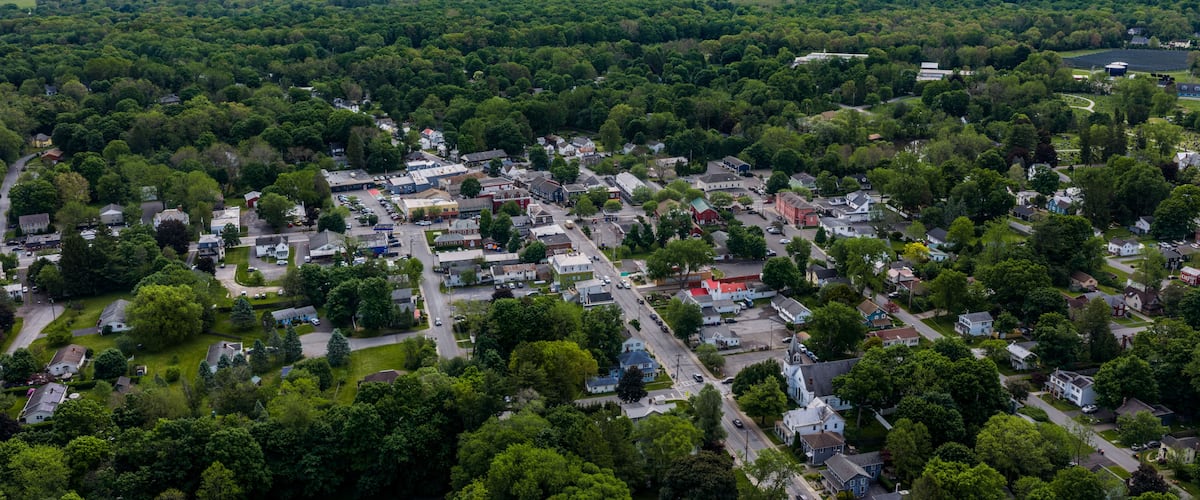 A town surrounded by dense forests with a mix of residential and commercial buildings.