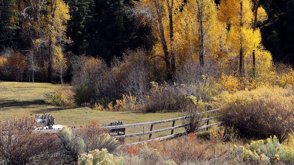Fall in Taos