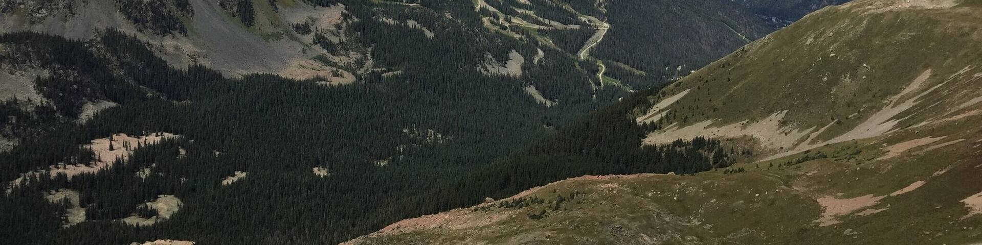 There are two main trails to get there: Bull of the Woods and Williams Lake. We took Bull of the Woods trail up approx 7.8 mi. The trailhead is right across the street from the Alpine Village Suites. #hiking #roadtrips #green #travel #nature #epic #trees #NewMexico #riogrand #taco #Mountains #GreatOutdoors